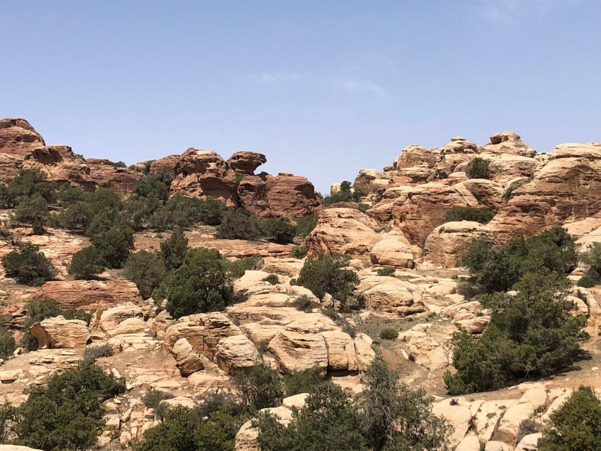 Jabal - The Highest In Jordan Campsite