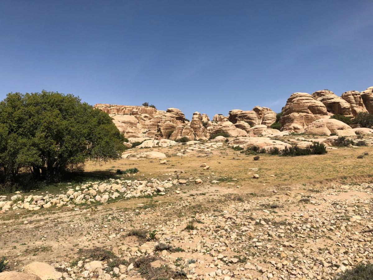 Jabal - The Highest In Jordan Campsite *