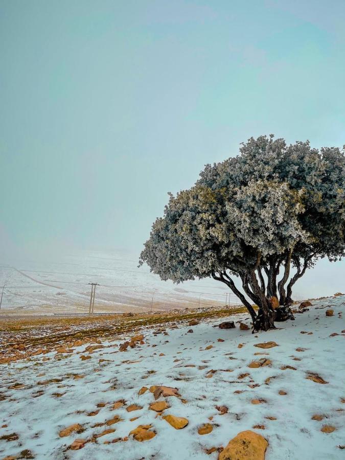 Jabal - The Highest In Jordan Campsite *