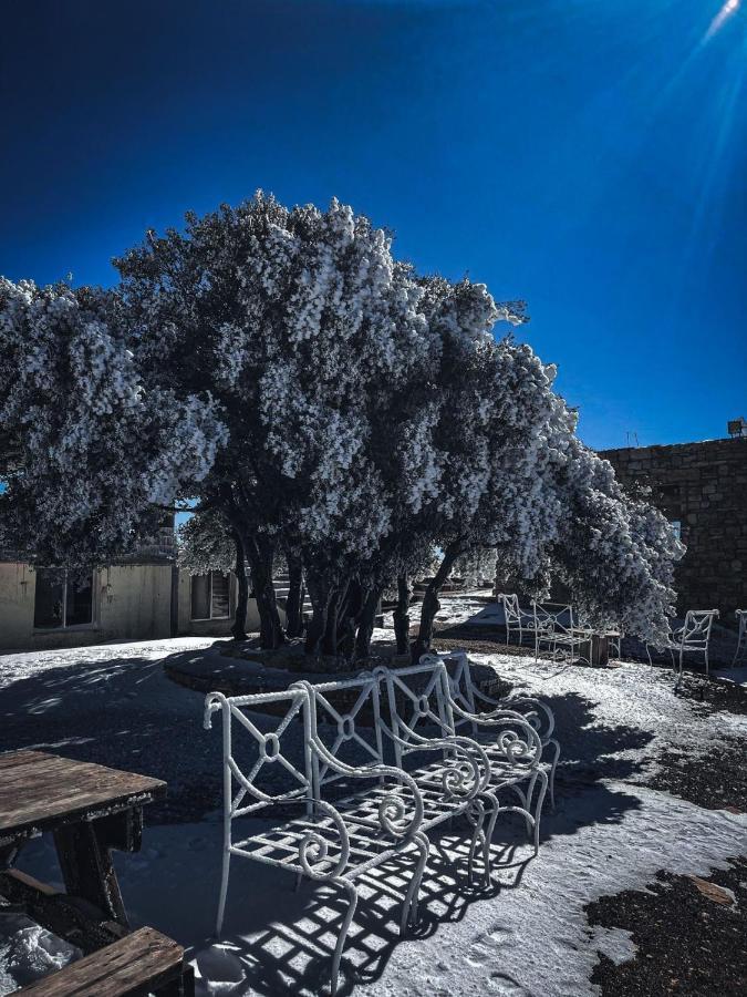 Campsite Jabal - The Highest In Jordan